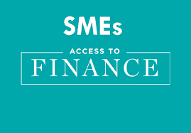 Read more about the article SMEs Access to Finance
